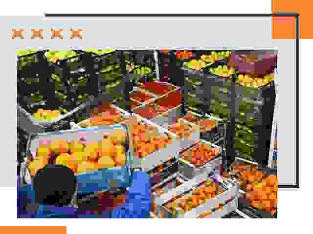 Перевозка скоропортящихся продуктов в Сальске